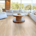 Shaw Floors® 1051V-01098 