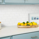 Shaw Floors® 603TS-00100 