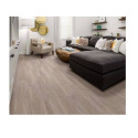 Shaw Floors® 1999V-5155 
