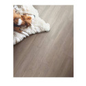 Shaw Floors® 1999V-5155 