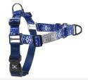 Extra-Large Ombre Aztec Nomad Walking Dog Harness