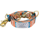Nomad One-Size Aztec Dirty Turquoise Dog Leash