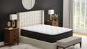 Titan 14-Inch Plush Pillow Top King Mattress