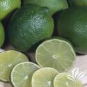 Mexican Lime Bush #3