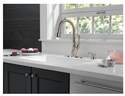 Delta Faucet 19950Z-SSSD-DST 