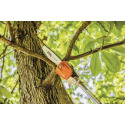 STIHL® 4182 200 0210 