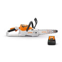 12-Inch Chainsaw With AK 30 Battery And AL 101 Charger