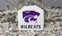 Powercat Wildcats Desk Stone