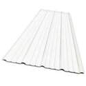 9-Inch X 12-Foot Soft White Universal Roof Panel