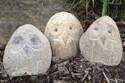 STONE Age CREATIONS AN-OW-06 