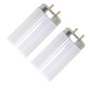 48-Inch 40-Watt Cool White T12 Linear Fluorescent Light Bulbs, 2-Pack