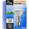 60-Watt Par30ln Halogen Flood Light Bulb