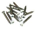 #2 X 1-1/2-Inch White Stainless Steel Screws 12-Pack