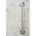Moen® R8924P 