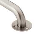 18-Inch Stainless Steel Exposed Screw Grab Bar