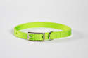 12-Inch Lime Green Nylon Puppy Collar