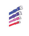 1-Inch X 24-Inch Purple Nylon Double Layer Dog Collar