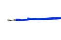 3/4-Inch X 6-Foot Blue Nylon Single Layer Dog Leash