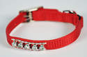 3/8 x 12-Inch Red Single Layer Nylon Cat Collar