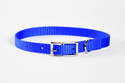 10-Inch Blue Nylon Puppy Collar