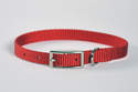 12-Inch Red Nylon Puppy Collar