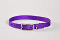 12-Inch Purple Nylon Puppy Collar