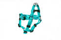 5/8-Inch Turquoise Nylon Adjustable Quick Fit Dog Harness