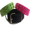 1-3/4-Inch X 16-Inch Lime Green Nylon Big Dogg Collar With Spikes