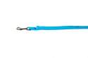 1-Inch X 6-Foot Turquoise Nylon Single Layer Dog Leash