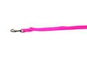1-Inch X 6-Foot Hot Pink Nylon Single Layer Dog Leash