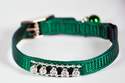 14-Inch Hunter Green Nylon Fashion Jeweled Puppy Collar