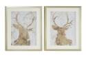 17 x 21-Inch White Mdf Natural Framed Deer Wall Art, Assorted Styles, Each