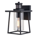Black Geneva Outdoor Motion Sensor Light