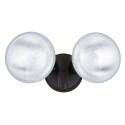 Bronze 2-Light Outdoor Security Flood Light