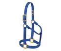 1-Inch Medium Blue Original Non-Adjustable Halter