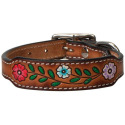 3/4 X 17-Inch Painted Floral Tooled Leather Dog Collar