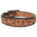 3/4 X 17-Inch Floral Tooled Leather Dog Collar