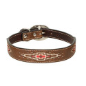 3/4 X 15-Inch Aztec Embroidery Leather Dog Collar