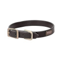 1-Inch x 25-Inch X-Treme Adventure Dog Collar In Black