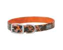 X-Treme Adventure 1 x 19-Inch Orange Clear Coat Dog Collar