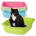 SAVVY TABBY US5069 06 
