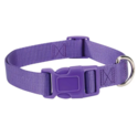 10-16-Inch Adjustable Purple Dog Collar