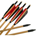 31-Inch Ramin Wood Arrows, 6-Pack