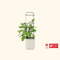 Cream White Self Watering Tomato Planter With Trellis