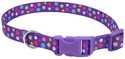 10 In -14 In Adjustable 5/8 In Dog Collar, Special Paw