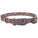 5/8 x 14-Inch Styles Special Paw Brown Adjustable Dog Collar