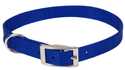 5/8 x 14-Inch Single Ply Nylon Dog Collar, Blue