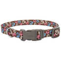 Styles 1-Inch Special Paw Brown Adjustable Dog Collar