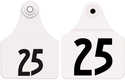51-75 Numbered Global Large Female White Ear Tags