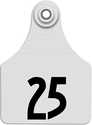 26-50 Numbered Global Maxi White Ear Tags